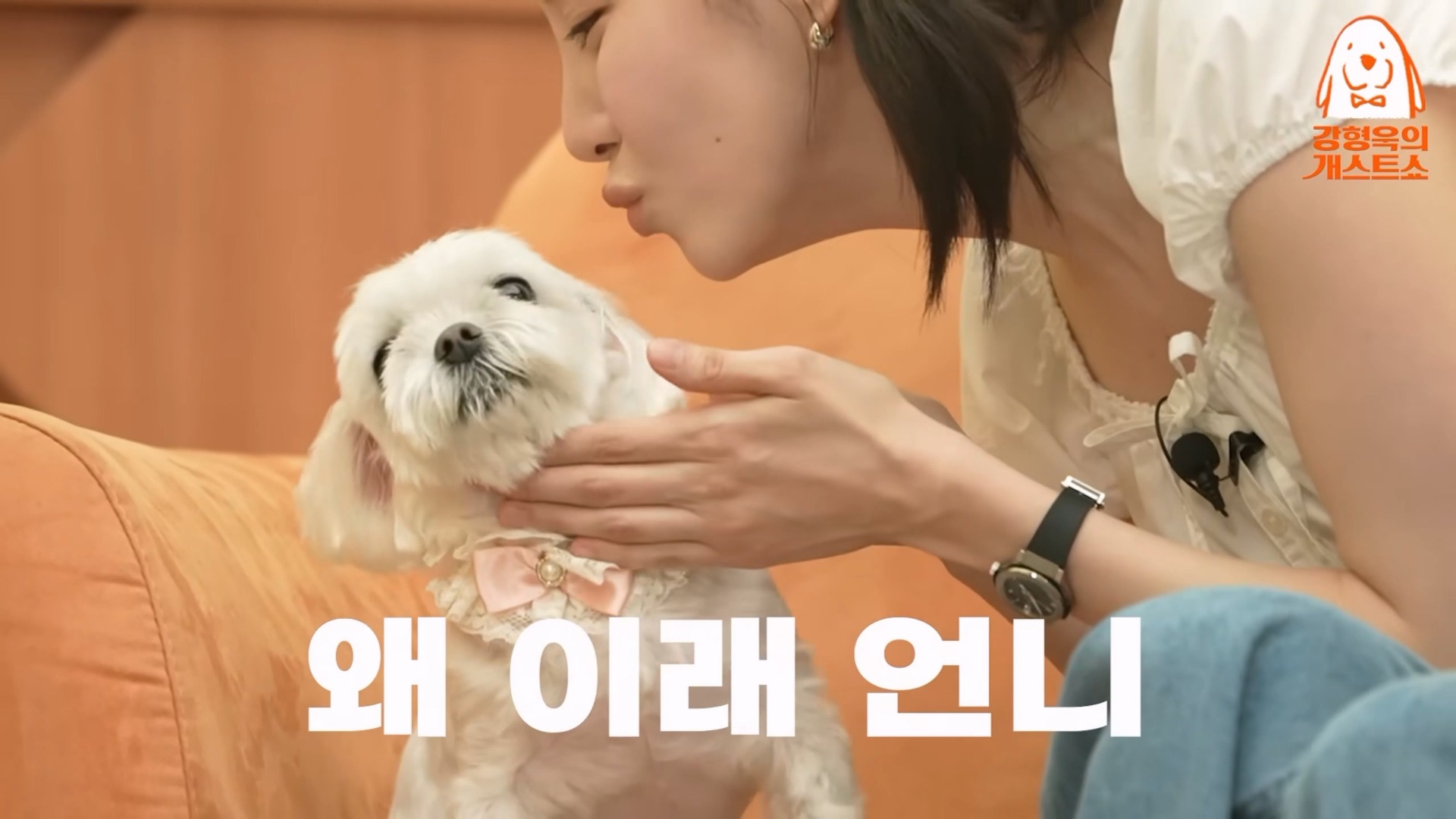 사진=강형욱의 보듬TV 유튜브 채널 캡처