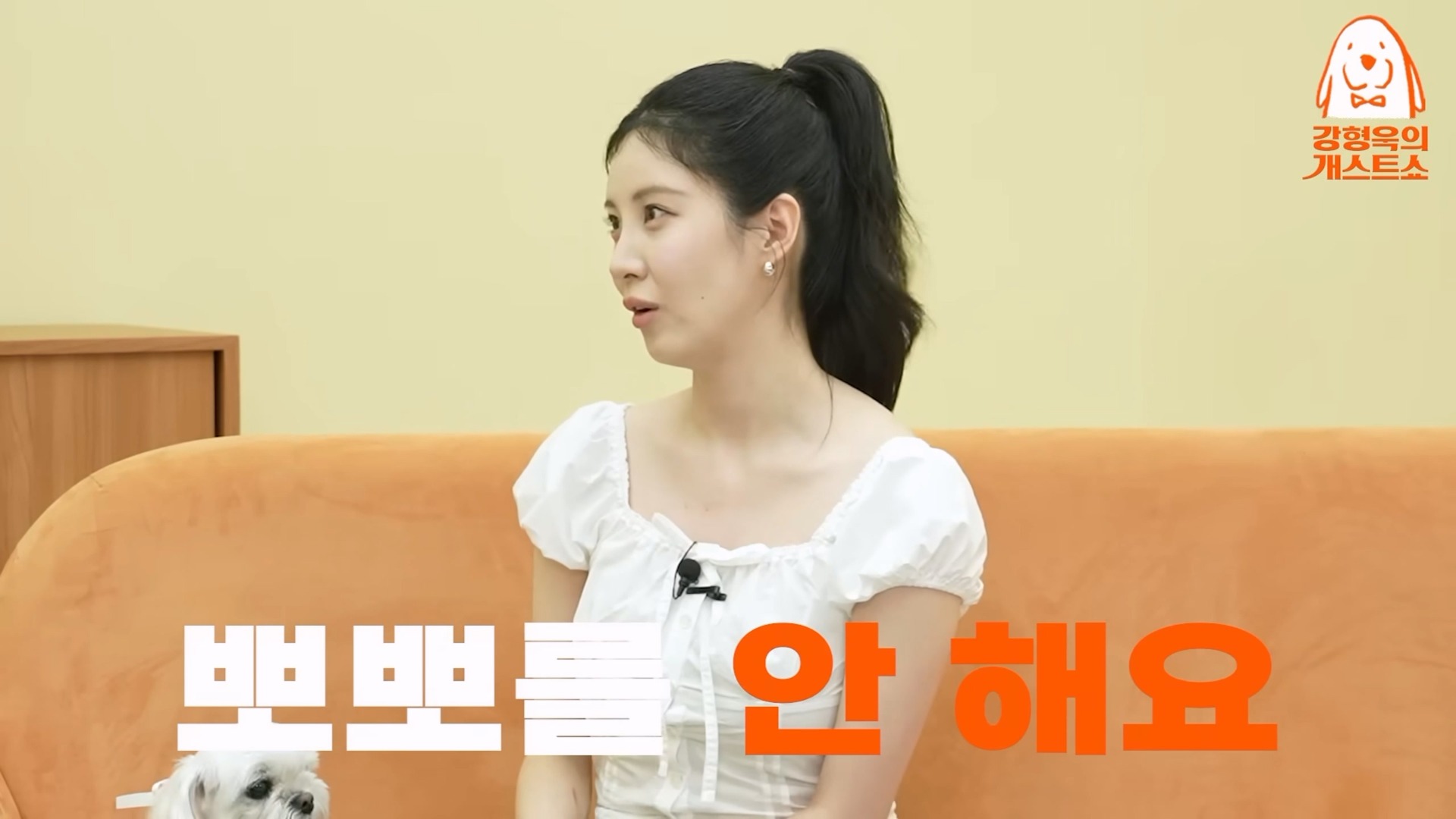 사진=강형욱의 보듬TV 유튜브 채널 캡처